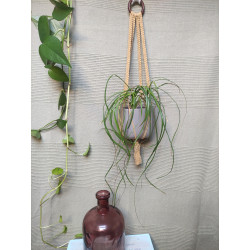 Macramé support plante