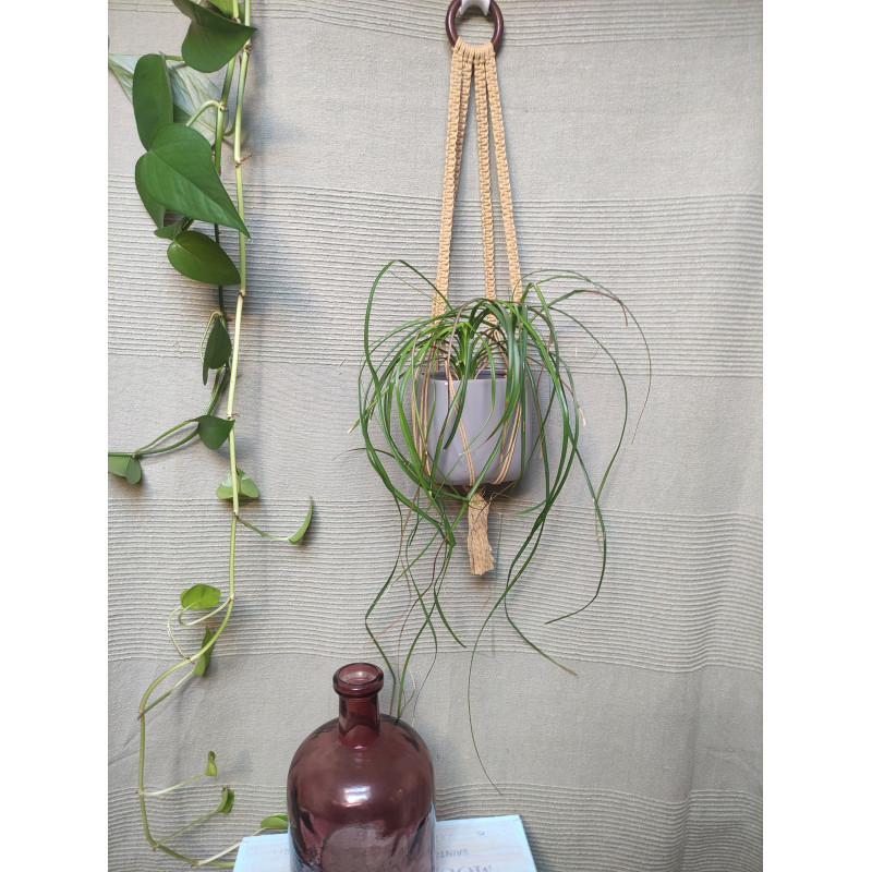 Macramé support plante